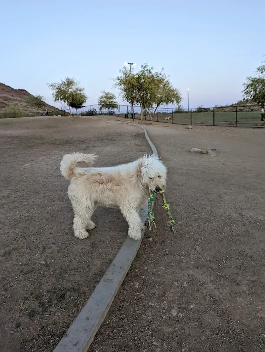 Deem Hills Dog Park 8