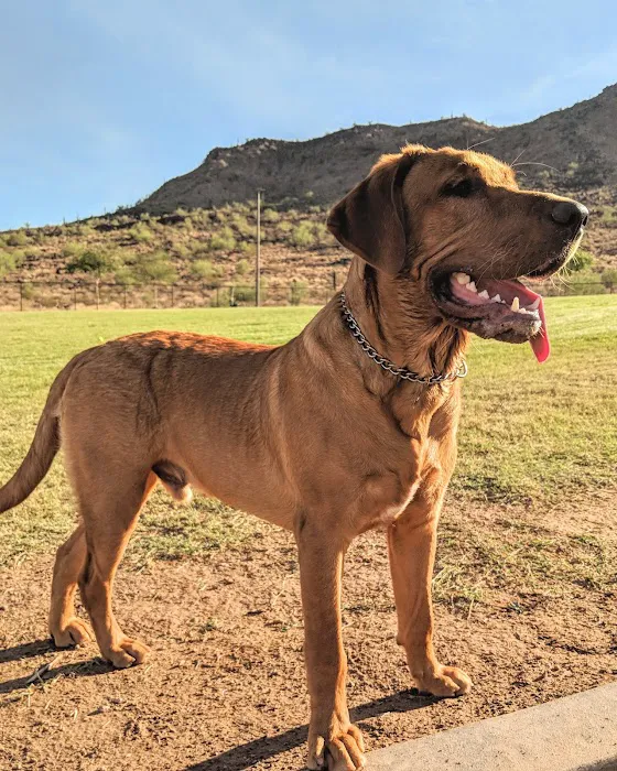 Deem Hills Dog Park 7