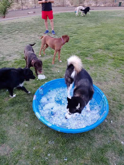 Deem Hills Dog Park 6
