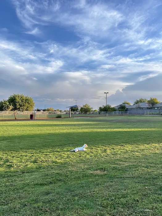 Pioneer Community Park: Dog Park 8