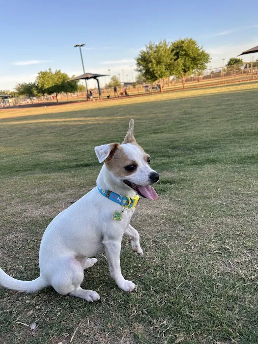 Pioneer Community Park: Dog Park 10