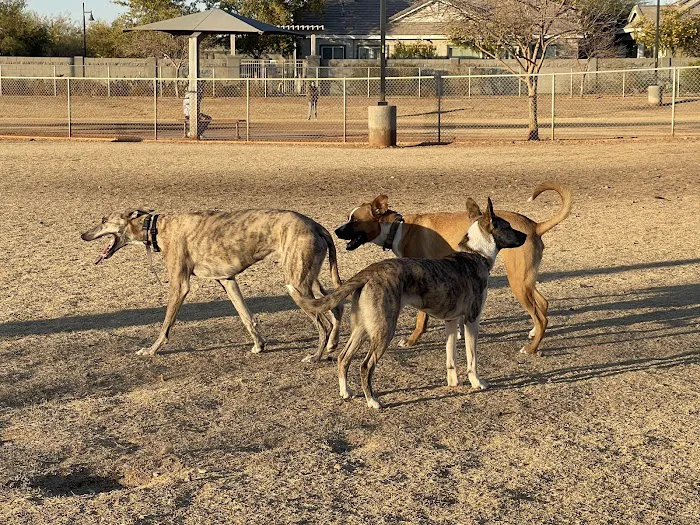Pioneer Community Park: Dog Park 7