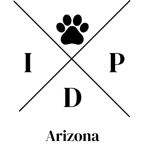 Indoor Dog Park - Arizona 1