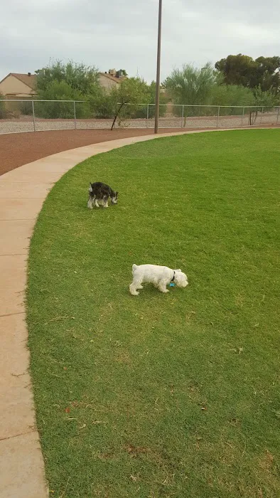Scotland Yard Dog Park 1