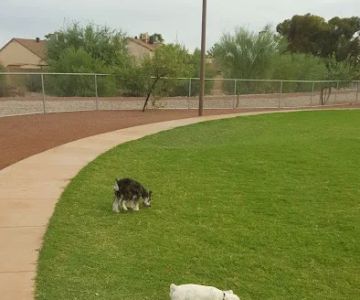 Scotland Yard Dog Park