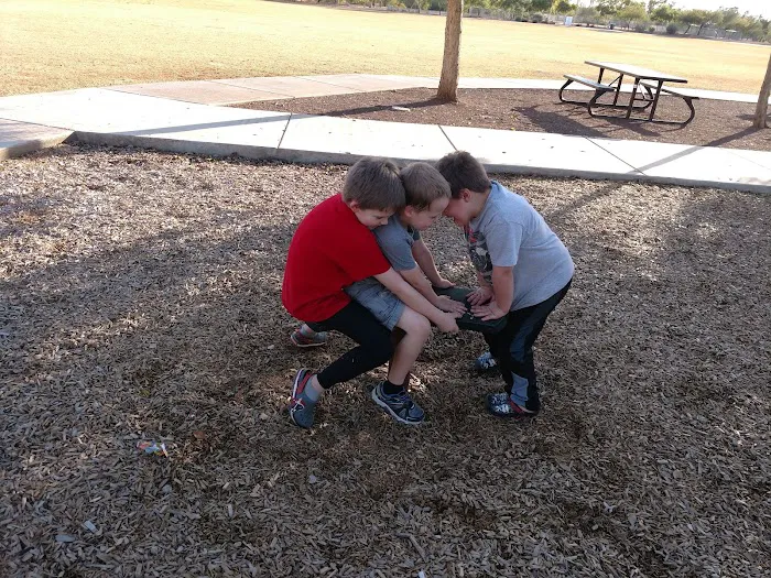 Scotland Yard Dog Park 8