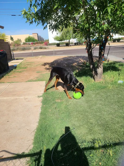 Friendship Dog Park 4