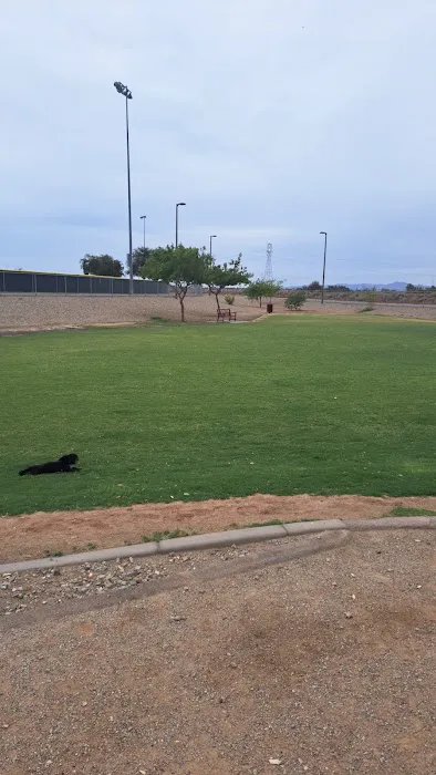 Avondale Festival Fields Dog Park 5