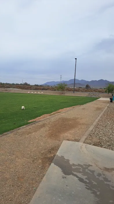 Avondale Festival Fields Dog Park 2