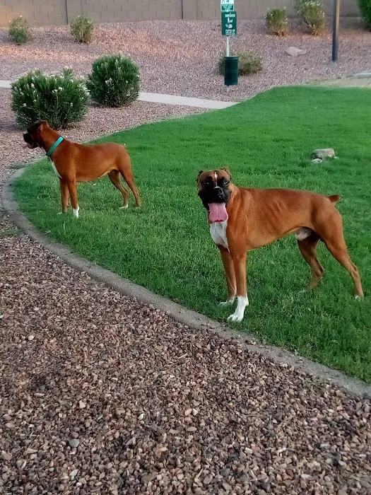 Trailwood Dog Park 6
