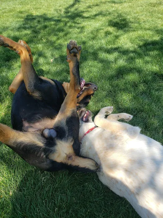 Trailwood Dog Park 1