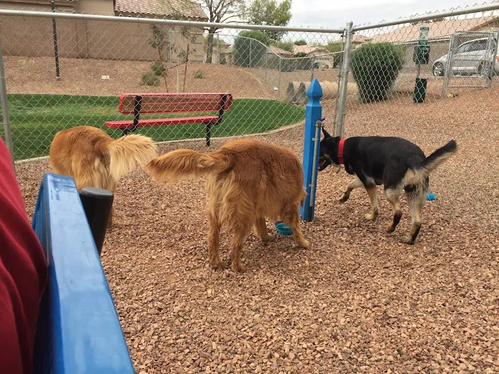 Trailwood Dog Park 2