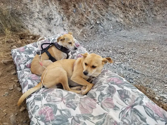 Duffeeland Dog Park *Key Required* 9