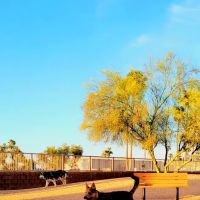 Duffeeland Dog Park *Key Required* ico