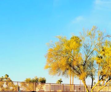 Duffeeland Dog Park *Key Required*