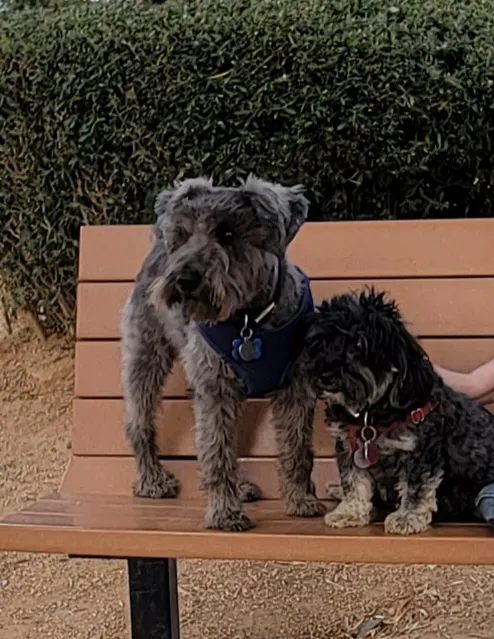 Duffeeland Dog Park *Key Required* 7