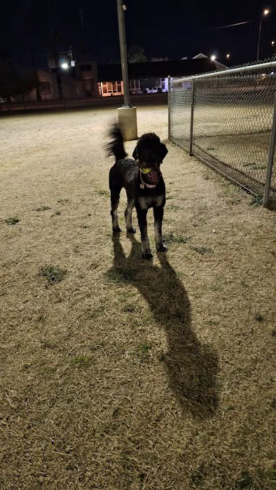 Citizens' Dog Park 3