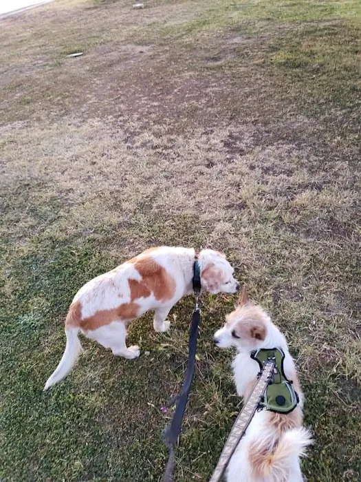 Citizens' Dog Park 4