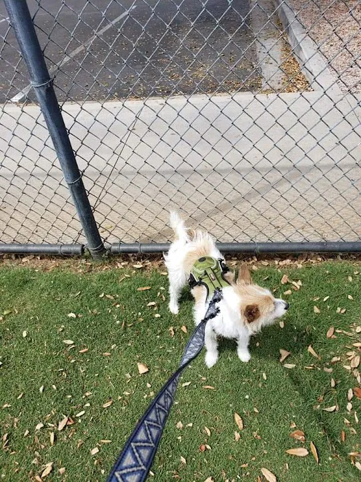 Citizens' Dog Park 5