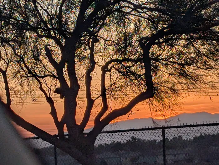 Citizens' Dog Park 8