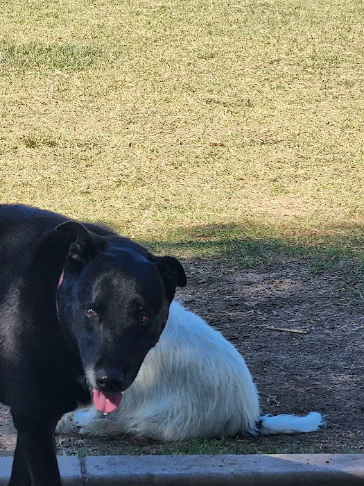 Gateway Dog Park 1