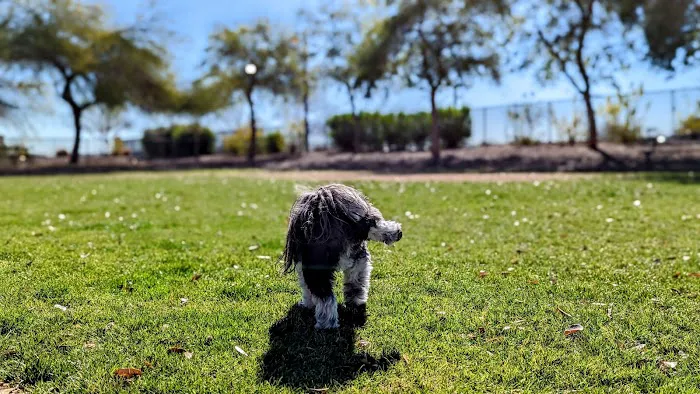 Gateway Dog Park 5