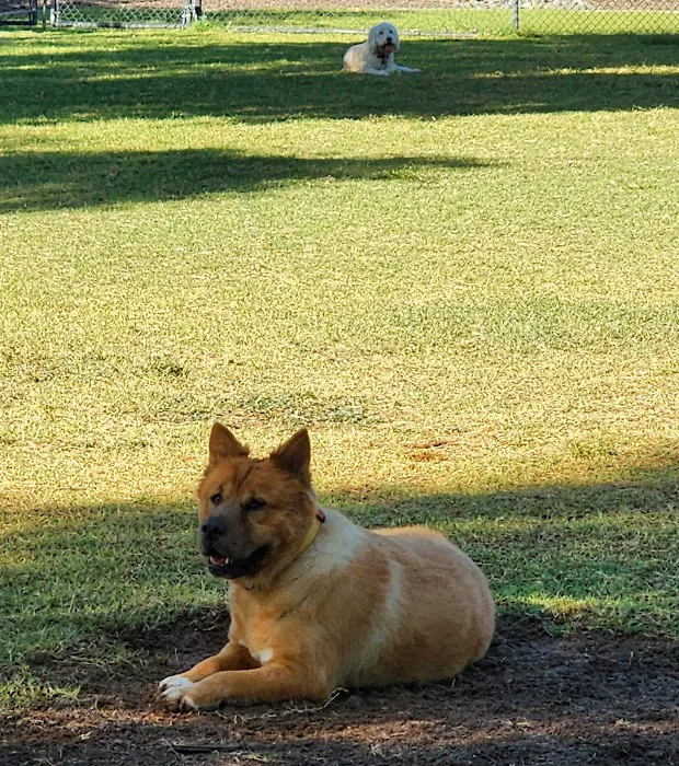 Gateway Dog Park 7