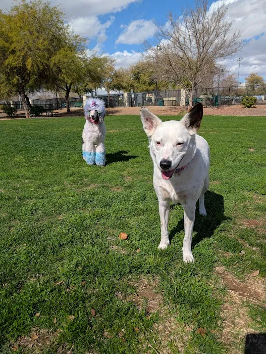 Gateway Dog Park 4