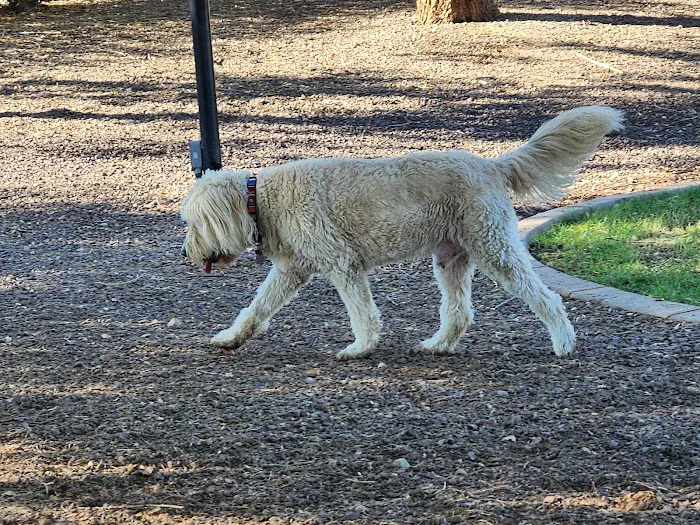 Gateway Dog Park 2