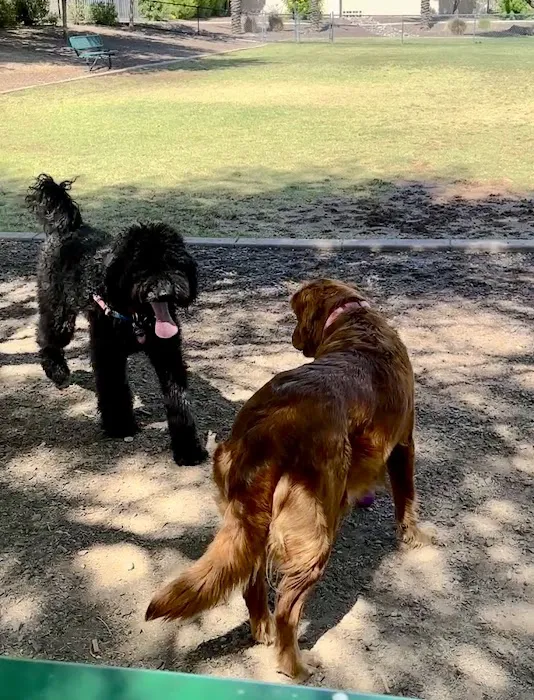 Gateway Dog Park 8