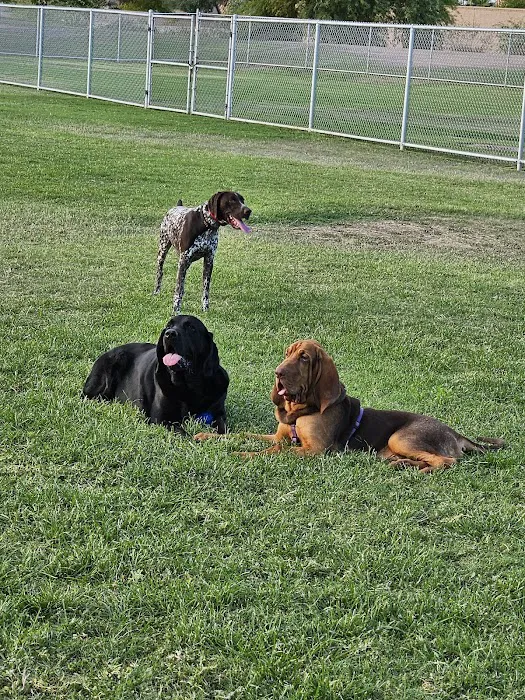 Parkridge Park Dog Park 10