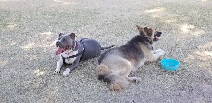 Parkridge Park Dog Park 2