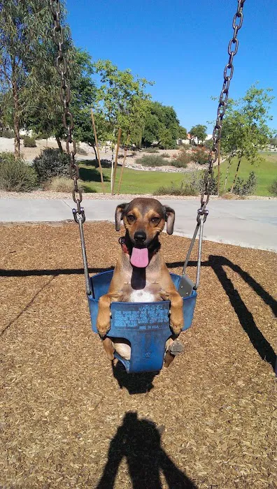 Parkridge Park Dog Park 7