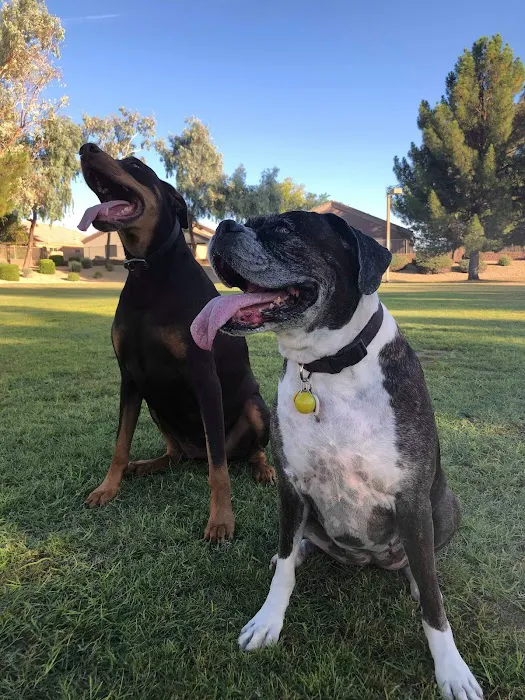 Parkridge Park Dog Park 3