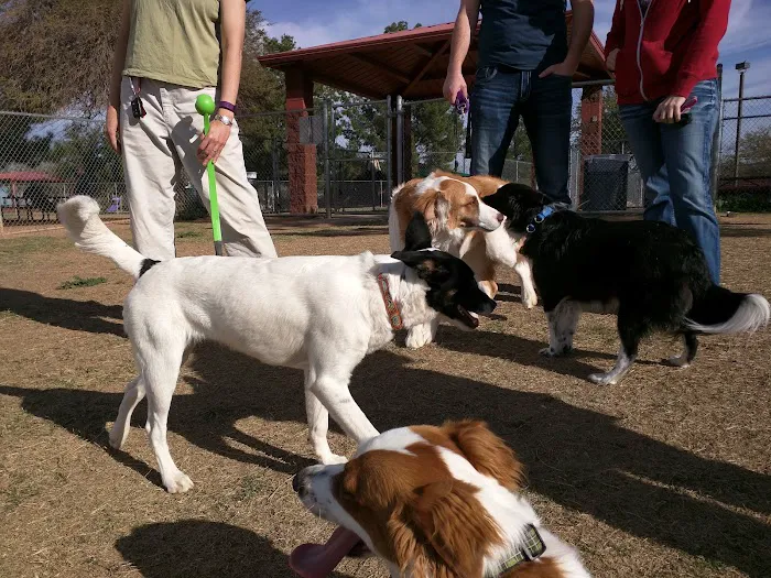 Alta Vista Park Off-leash Dog Park 8