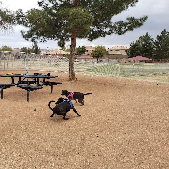 Alta Vista Park Off-leash Dog Park 4