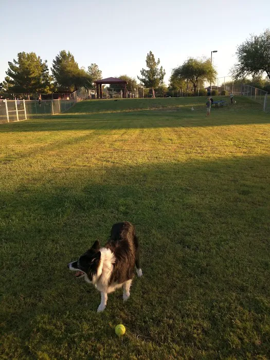 Alta Vista Park Off-leash Dog Park 7