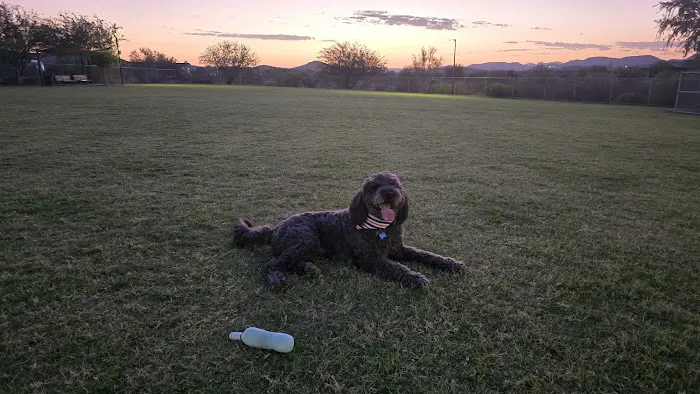 Anthem Dog Park (membership required) 5