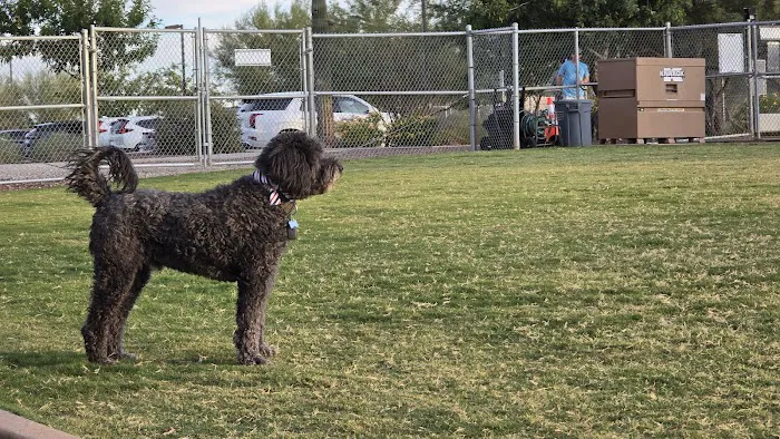 Anthem Dog Park (membership required) 4