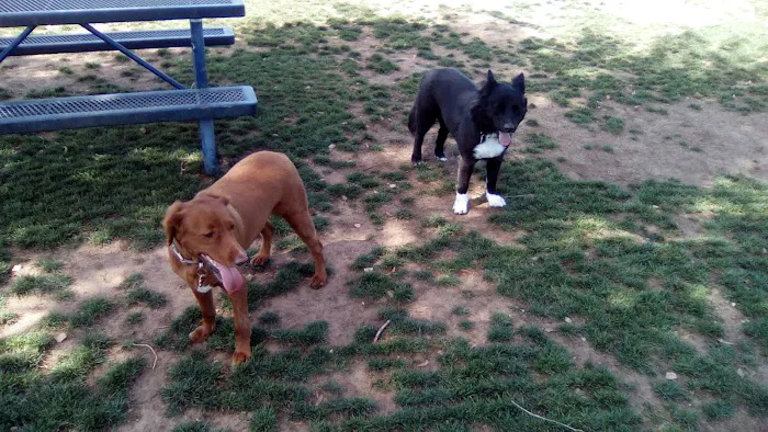 Large Dog Park 5