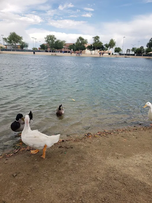 Large Dog Park 6