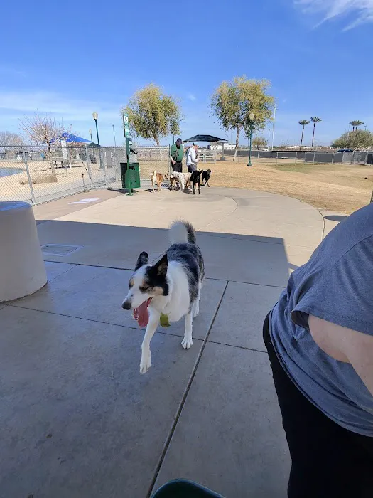 Large Dog Park 1