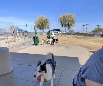 Large Dog Park