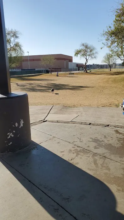 Large Dog Park 7