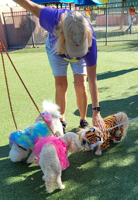 Large Dog Park 10