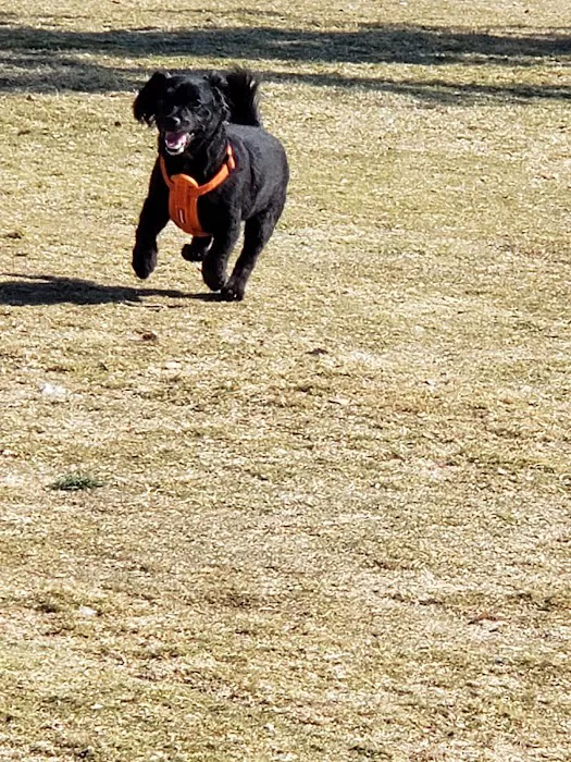 Small Dog Park 2
