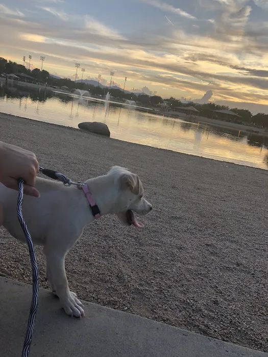 Small Dog Park 4