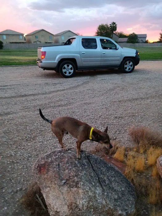 Small Dog Park 10