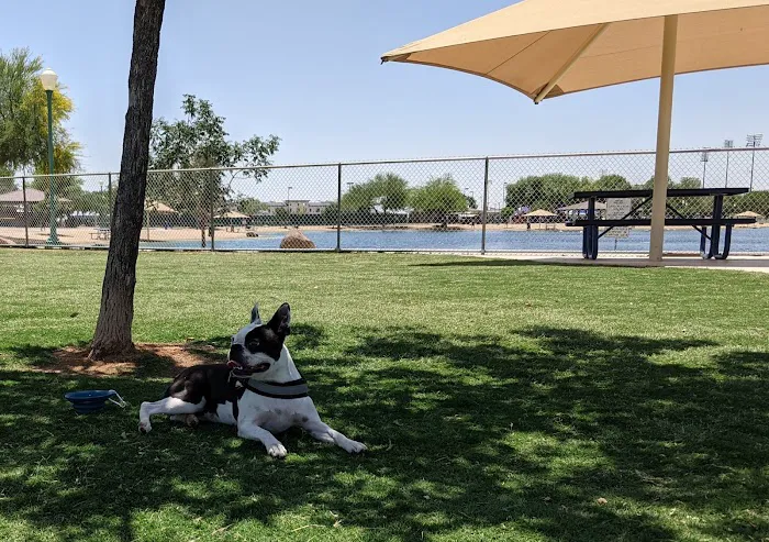 Small Dog Park 1