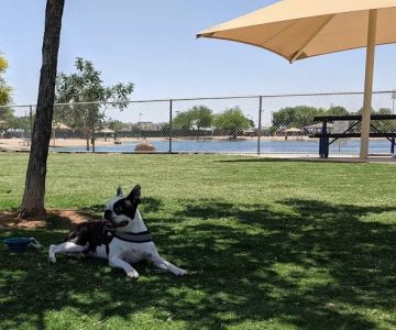 Small Dog Park